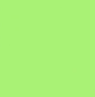 Short coton brodé vert anis fille